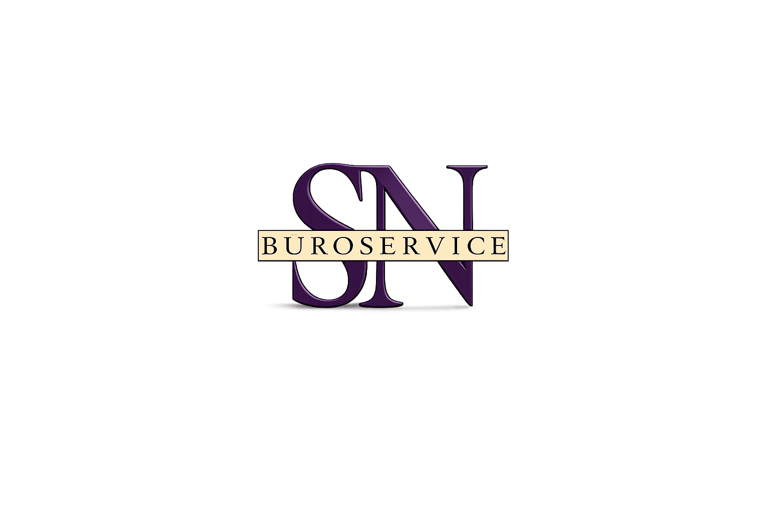 S&N B&uuml;roservice logo